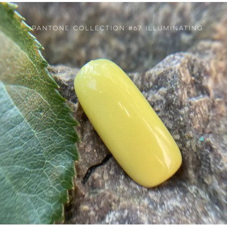 Pantone collection 067 Illuminating