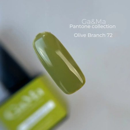 Pantone collection 072 Olive Branch