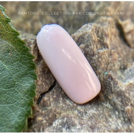 Pantone collection 069 Coconut Cream