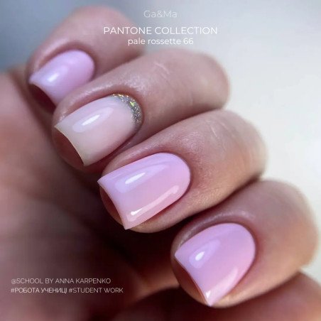 Pantone collection 066 Pale Rosette