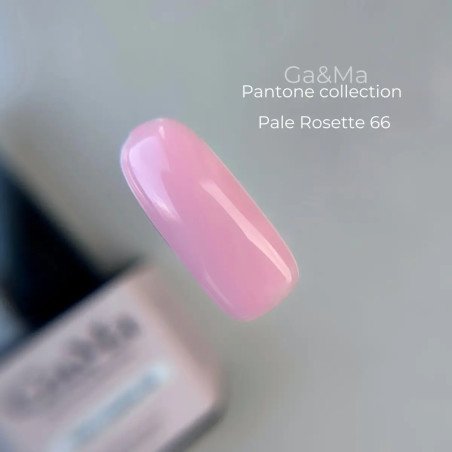 Pantone collection 066 Pale Rosette