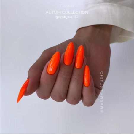 Autumn collection 132 Gorobyna