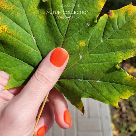 Autumn collection 132 Gorobyna