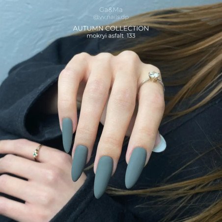 Autumn collection 133 Mokryi asfalt recommended by @vakula_nails