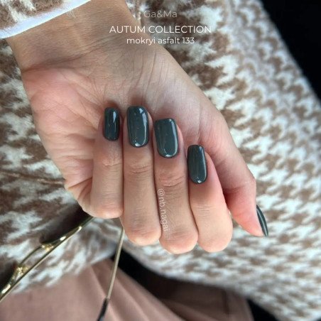 Autumn collection 133 Mokryi asfalt recommended by @vakula_nails