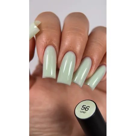 Cover base Colored 056 Leaf