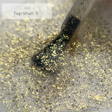 Top Shell 005
